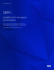 White Paper Executive Guide to IBM's strategy