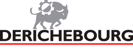 DERICHEBOURG logo